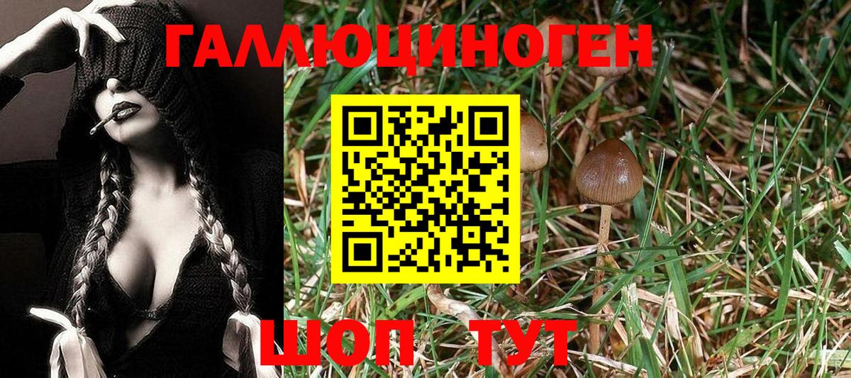 Арсеньев  Галлюциногенные грибы Magic Shrooms  закладки  Вход с VPN 