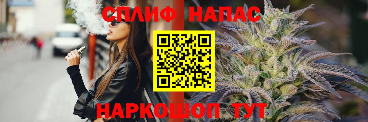 Каннабис сатива Арсеньев